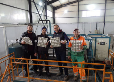 Rotary Waste Paper Egg Tray Machine , Egg Tray Production Line