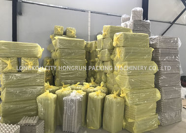 Rotary Waste Paper Egg Tray Machine , Egg Tray Production Line