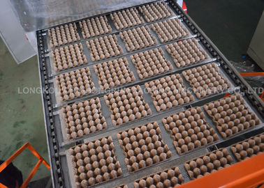 Paper Egg Tray Making Machine / Paper Pulp Molding Machinery For Bottle Torr